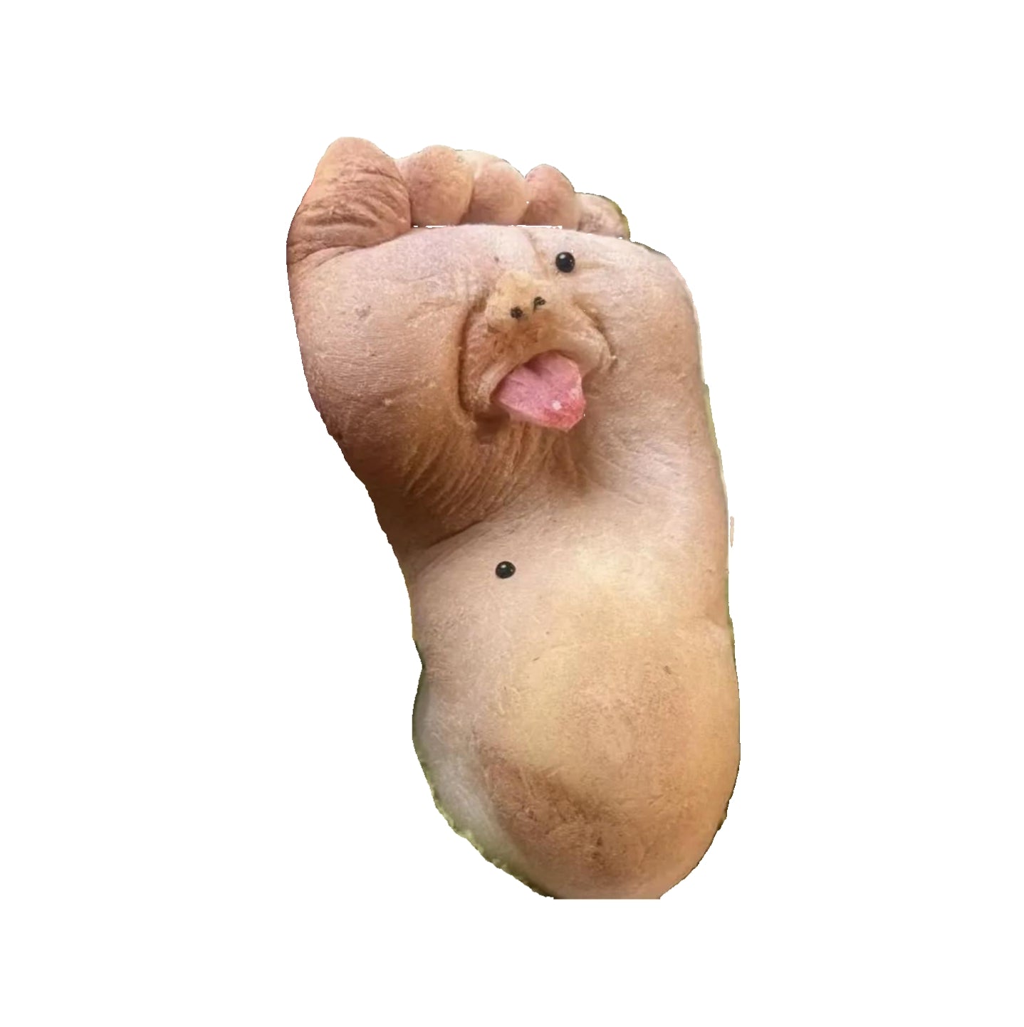 Creative Handmade Foot-shaped Squeeze Toy - 2025 Stress Relief Tool, Essential for Office and Home, Fun Decompression Foot Toy with Reflexology Experience