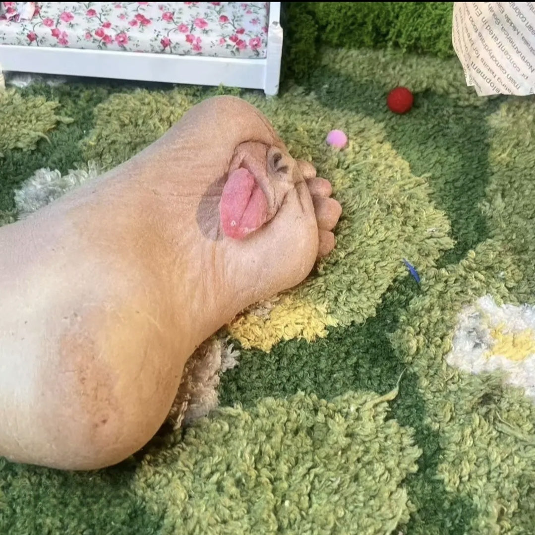 Creative Handmade Foot-shaped Squeeze Toy - 2025 Stress Relief Tool, Essential for Office and Home, Fun Decompression Foot Toy with Reflexology Experience
