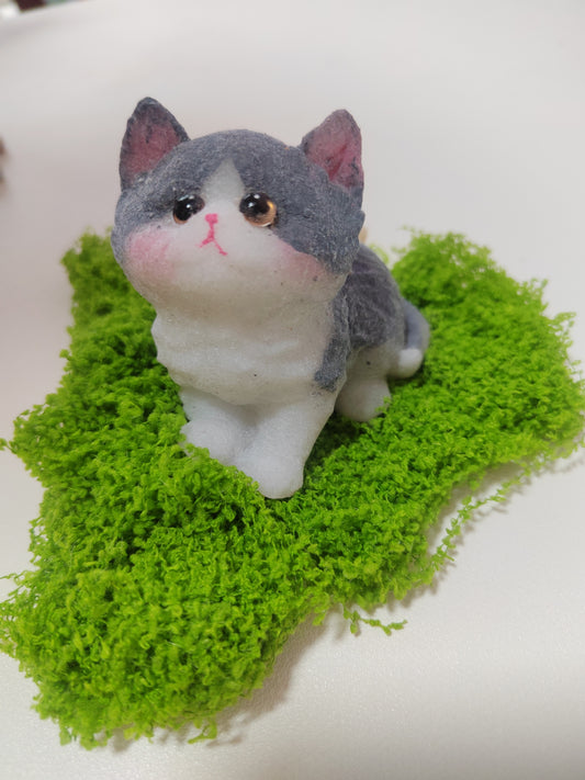 Stress-Relief Toy: Blue and White Kitten - Soft and Cute Handmade Squishy Stress Toy 复制 分享